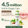 Mint Lipbalam